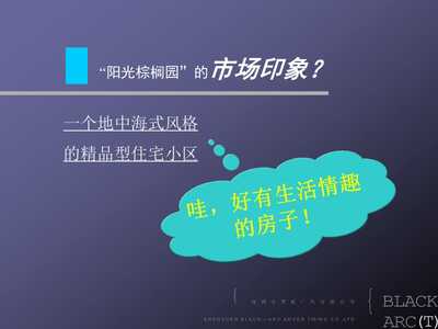 城市綠洲——xx棕櫚園 重新定義理想居所，銷售與推廣策略升級