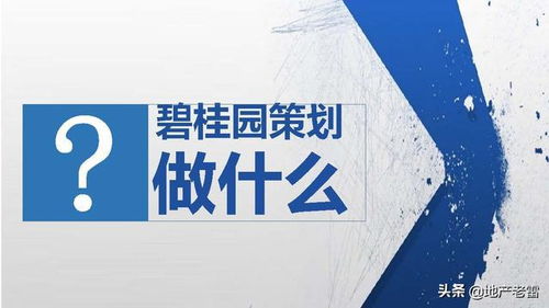 碧桂園項(xiàng)目開(kāi)盤(pán)前策劃標(biāo)準(zhǔn)動(dòng)作指引